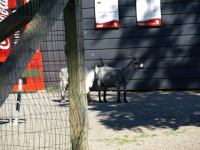 P8132506.JPG - 2008:08:13 16:08:59