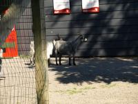 P8132507.JPG - 2008:08:13 16:09:00