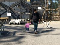 P8132508.JPG - 2008:08:13 16:09:46