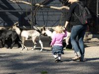 P8132510.JPG - 2008:08:13 16:09:51