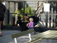 P8132513.JPG - 2008:08:13 16:10:16