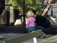 P8132514.JPG - 2008:08:13 16:10:22