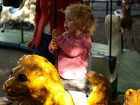 P8132525.JPG - 2008:08:13 16:52:26