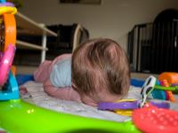 P8172561.jpg - 2008:08:17 16:38:04