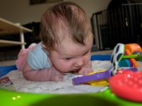 P8172563.jpg - 2008:08:17 16:38:20