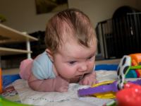 P8172565.jpg - 2008:08:17 16:38:22