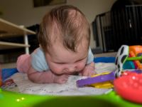 P8172567.jpg - 2008:08:17 16:38:26