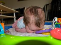 P8172568.jpg - 2008:08:17 16:38:31