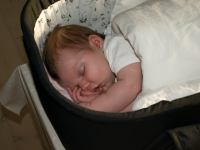 P8222601.jpg - 2008:08:22 18:41:48