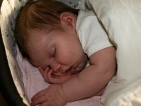 P8222602.jpg - 2008:08:22 18:41:54