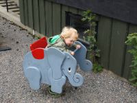 P8262626.jpg - 2008:08:26 14:32:12