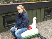 P8262628.jpg - 2008:08:26 14:32:17