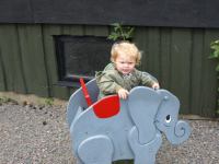 P8262629.jpg - 2008:08:26 14:32:19