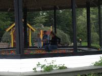 P8262638.jpg - 2008:08:26 14:37:00