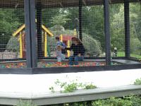 P8262639.jpg - 2008:08:26 14:37:04