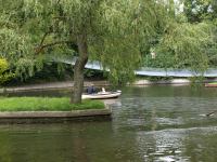 P8262652.jpg - 2008:08:26 14:52:28