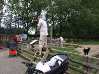 P8262667.jpg - 2008:08:26 15:19:06