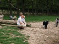 P8262670.jpg - 2008:08:26 15:19:44