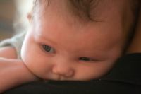 IMG_9613.jpg - 2008:09:28 10:37:38