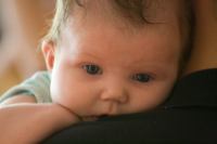 IMG_9616.jpg - 2008:09:28 10:38:22