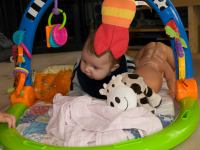 PA022870.jpg - 2008:10:02 15:56:47