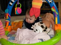 PA022871.jpg - 2008:10:02 15:56:48