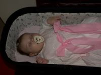 PA262959.jpg - 2008:10:26 10:45:48