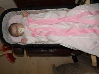 PA262965.jpg - 2008:10:26 10:46:25