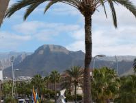 P1214429.jpg - 2009:01:21 11:43:26