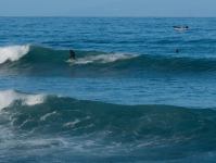 P1214505.jpg - 2009:01:21 12:30:09