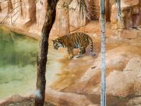 P1234658.jpg - 2009:01:23 12:08:22