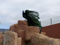 P1234661.jpg - 2009:01:23 12:09:14