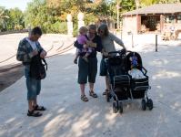 P1234682.jpg - 2009:01:23 12:19:20