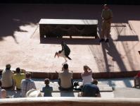 P1234712.jpg - 2009:01:23 13:16:57