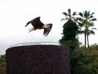 P1234738.jpg - 2009:01:23 14:05:31