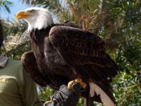 P1234842.jpg - 2009:01:23 14:24:20