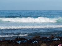 P1214445.jpg - 2009:01:21 12:07:52