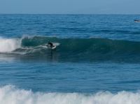 P1214509.jpg - 2009:01:21 12:30:14