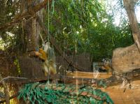 P1234703.jpg - 2009:01:23 12:44:05