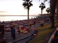 P1204382.jpg - 2009:01:20 20:57:08