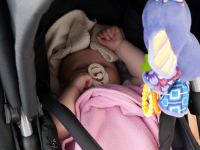 P1214437.jpg - 2009:01:21 11:44:36