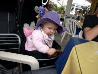 P1214526.jpg - 2009:01:21 14:01:44