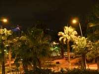 P1214556.jpg - 2009:01:21 21:29:14