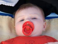 P1224598.jpg - 2009:01:22 17:58:06