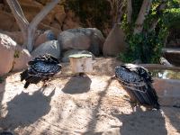 P1234672.jpg - 2009:01:23 12:18:25