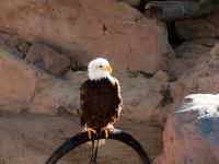 P1234677.jpg - 2009:01:23 12:19:10