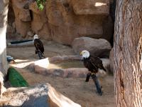 P1234681.jpg - 2009:01:23 12:19:16