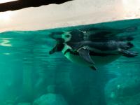 P1234697.jpg - 2009:01:23 12:28:23