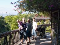 P1234699.jpg - 2009:01:23 12:32:43