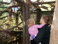 P1234701.jpg - 2009:01:23 12:43:12